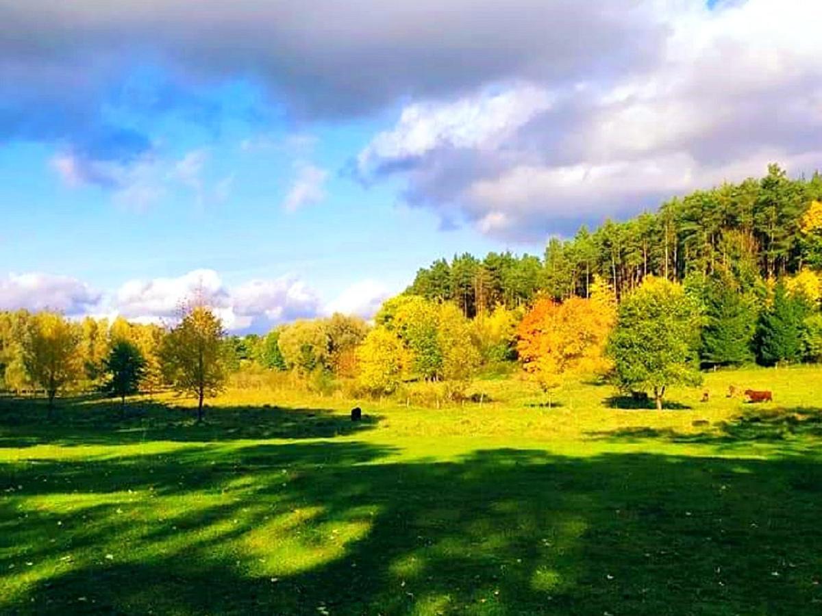 Palac Kursko Villa Eksteriør billede